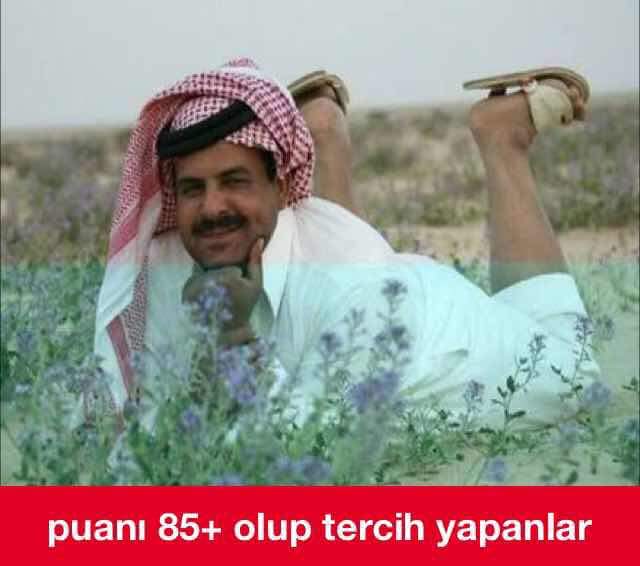 0_1493315954307_image.jpeg