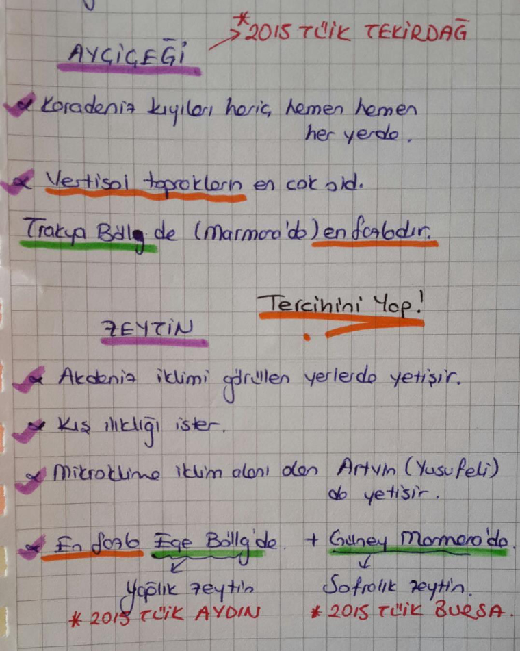 0_1474821077246_a16.jpg