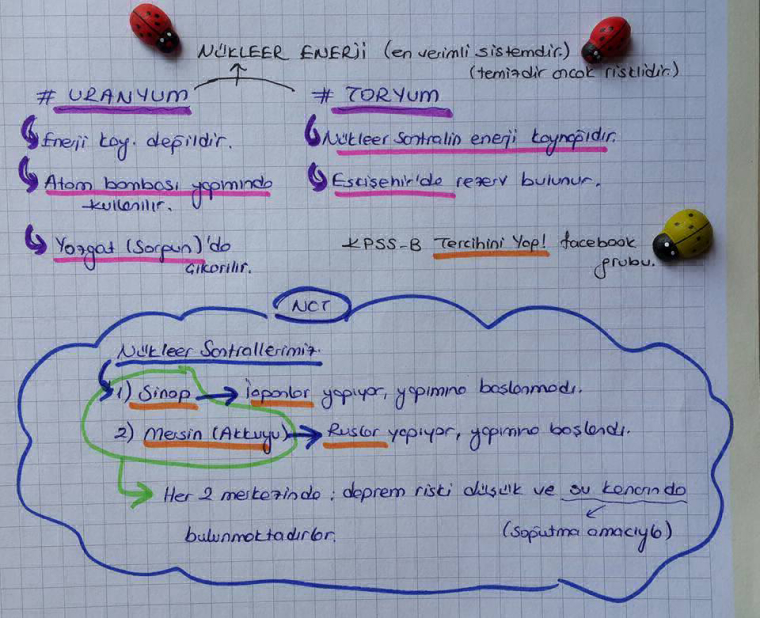 0_1475084550147_w17.jpg
