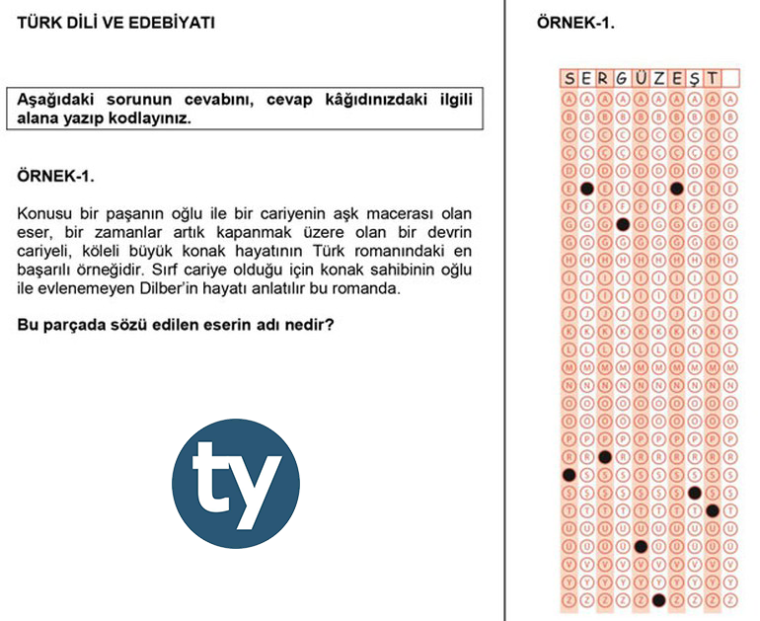 0_1483547486722_lys-örnek2.png