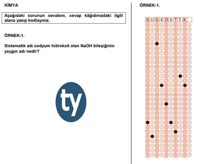 0_1483547563987_lys-örnek8.png