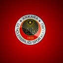bazarov