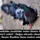 deulukiz