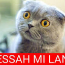 kml